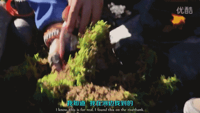 重庆澳威全屋定制：《荒野求生》中贝尔教奥巴马烤鱼